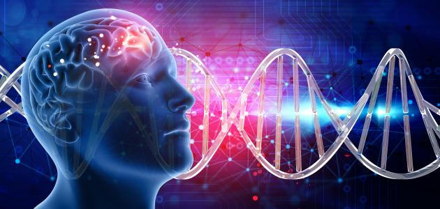 أعراض التهاب قشرة الدماغ صورة مقال أعراض التهاب قشرة الدماغ