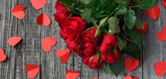 أجمل رسائل عيد الحب صورة مقال أجمل رسائل عيد الحب