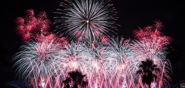 تعريف عيد الاستقلال صورة مقال تعريف عيد الاستقلال