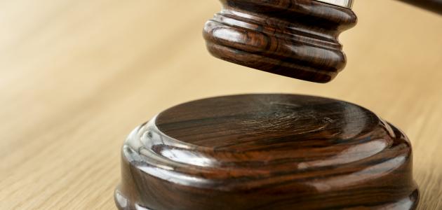 ما هي الجناية صورة مقال ما هي الجناية