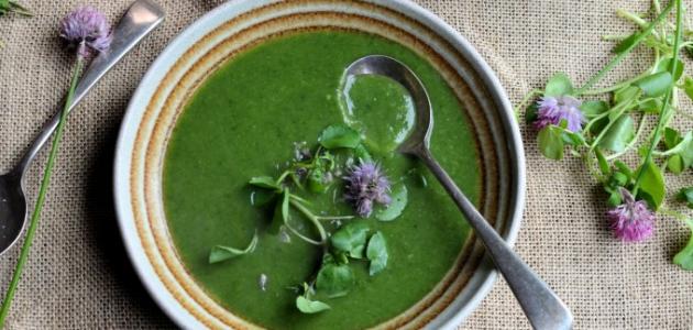 طريقة ماسك الجرجير للشعر صورة مقال طريقة ماسك الجرجير للشعر