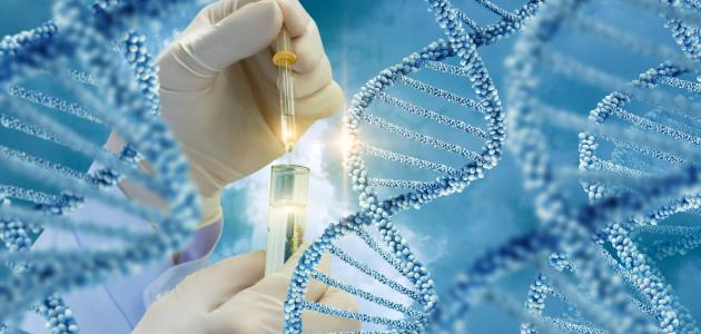 ما هو تحليل دي ان اي صورة مقال ما هو تحليل دي ان اي