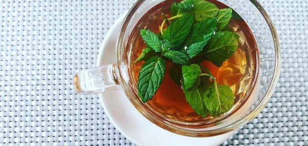 أعشاب لبرد المعدة صورة مقال أعشاب لبرد المعدة