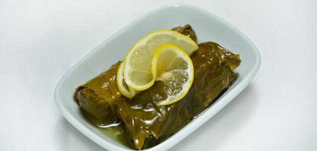 أكلات صيفية خفيفة صورة مقال أكلات صيفية خفيفة