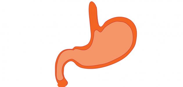 آثار قص المعدة صورة مقال آثار قص المعدة