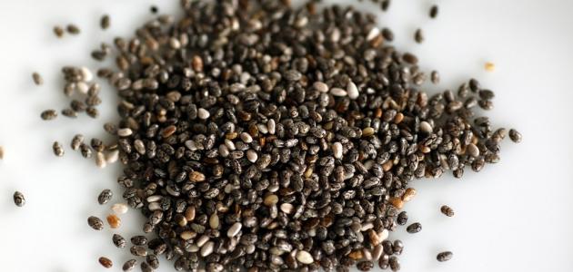 كيفية استخدام بذور الشيا صورة مقال كيفية استخدام بذور الشيا