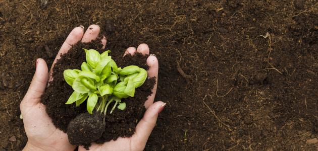 كيفية الحد من تلوث التربة صورة مقال كيفية الحد من تلوث التربة