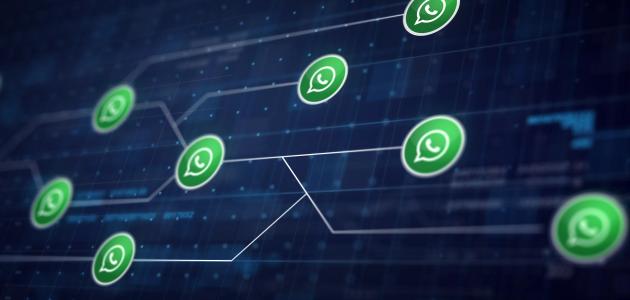 أين توجد النسخ الاحتياطية للواتس آب صورة مقال أين توجد النسخ الاحتياطية للواتس آب