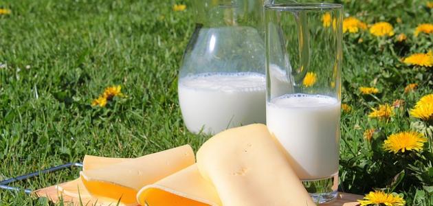 أطعمة لزيادة الطول صورة مقال أطعمة لزيادة الطول