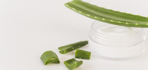 كيفية الحصول على جل الصبار صورة مقال كيفية الحصول على جل الصبار