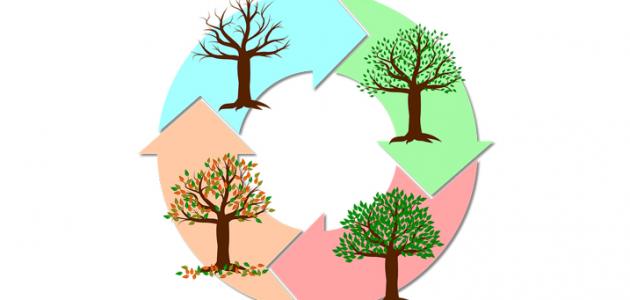 ما هي فصول السنة بالترتيب صورة مقال ما هي فصول السنة بالترتيب