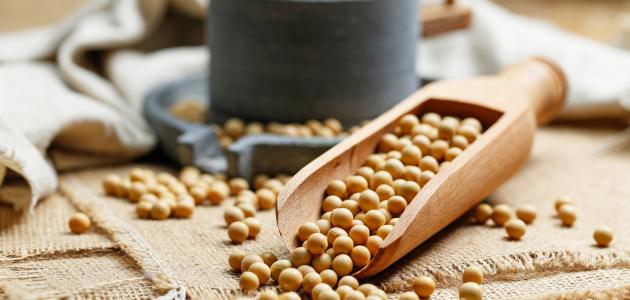 فوائد الصويا للرجال صورة مقال فوائد الصويا للرجال