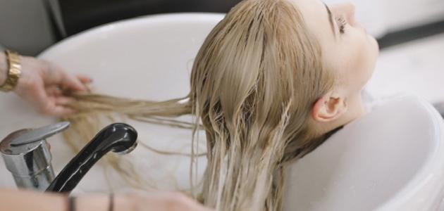 ما هو مرطب الشعر صورة مقال ما هو مرطب الشعر