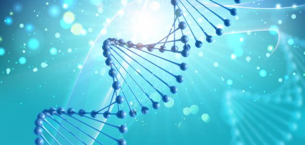 ما هو علم الوراثة صورة مقال ما هو علم الوراثة