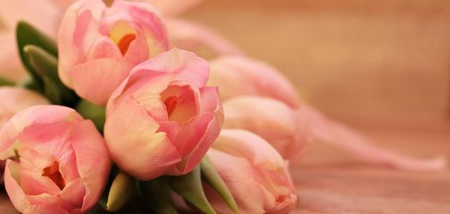 أفكار مفاجأة للعروس صورة مقال أفكار مفاجأة للعروس