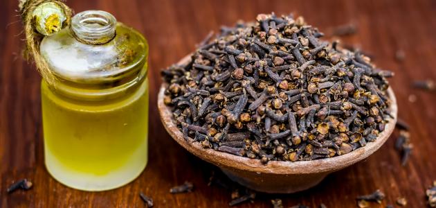 ما فائدة القرنفل للشعر صورة مقال ما فائدة القرنفل للشعر
