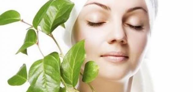 العناية بالبشرة ليلاً صورة مقال العناية بالبشرة ليلاً