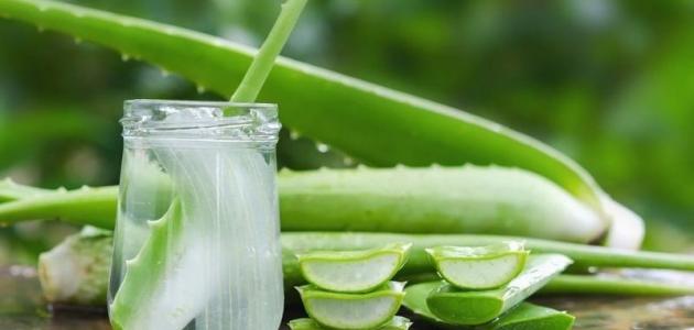 طريقة استعمال جل الصبار للبشرة صورة مقال طريقة استعمال جل الصبار للبشرة