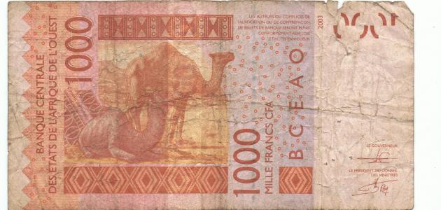 ما هي عملة السنغال صورة مقال ما هي عملة السنغال