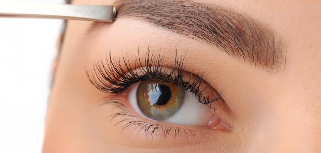 كيف أجعل حواجبي كثيفة صورة مقال كيف أجعل حواجبي كثيفة