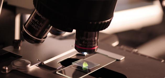 أجزاء المجهر الضوئي المركب ووظائفها صورة مقال أجزاء المجهر الضوئي المركب ووظائفها