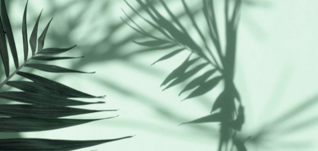 أشكال الظل خلال النهار، ولماذا تختلف؟ صورة مقال أشكال الظل خلال النهار، ولماذا تختلف؟