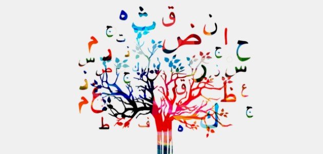 الفرق بين التاء المفتوحة والتاء المربوطة والهاء صورة مقال الفرق بين التاء المفتوحة والتاء المربوطة والهاء