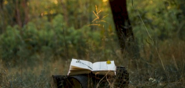 مناسبة سينية البحتري صورة مقال مناسبة سينية البحتري