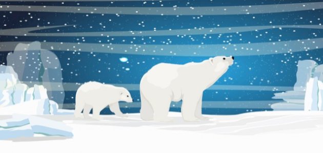 قصة السيدة العجوز والدب الأبيض صورة مقال قصة السيدة العجوز والدب الأبيض