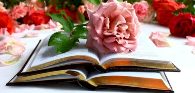 شرح قصيدة هي الأخلاق تنبت كالنبات صورة مقال شرح قصيدة هي الأخلاق تنبت كالنبات