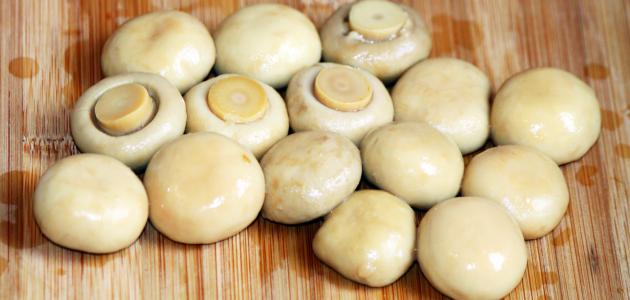 كيف اطبخ الفطر المعلب صورة مقال كيف اطبخ الفطر المعلب