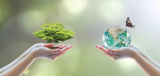 فواد التوازن البيئي صورة مقال فواد التوازن البيئي