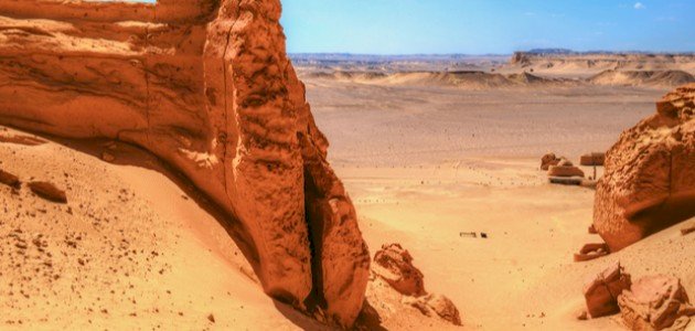 اكتشاف وادي الحيتان صورة مقال اكتشاف وادي الحيتان