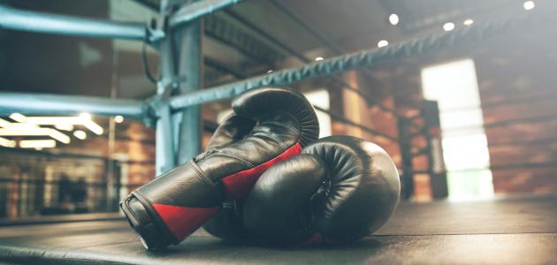 معلومات عامة عن رياضة الملاكمة صورة مقال معلومات عامة عن رياضة الملاكمة