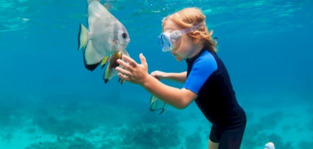 معلومات بسيطة عن الأسماك للاطفال صورة مقال معلومات بسيطة عن الأسماك للاطفال