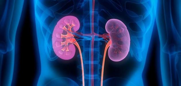 ما أسباب التهاب المسالك البولية صورة مقال ما أسباب التهاب المسالك البولية