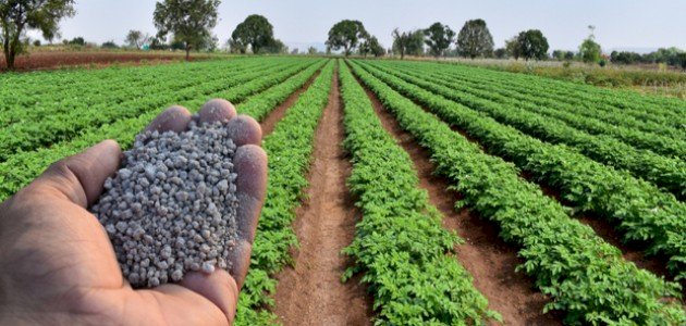 استخدامات اللافلزات في حياتنا صورة مقال استخدامات اللافلزات في حياتنا