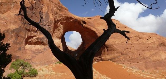 مفهوم التعرية الريحية صورة مقال مفهوم التعرية الريحية