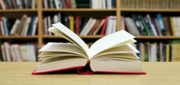 نبذة عن كتاب المجنون صورة مقال نبذة عن كتاب المجنون