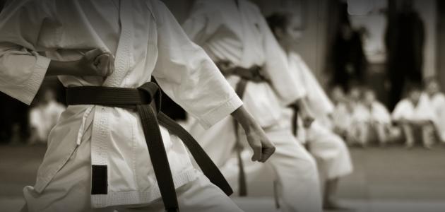 معلومات عامة عن رياضة الكاراتيه صورة مقال معلومات عامة عن رياضة الكاراتيه