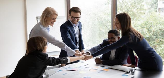 أهمية الانتماء الوظيفي صورة مقال أهمية الانتماء الوظيفي