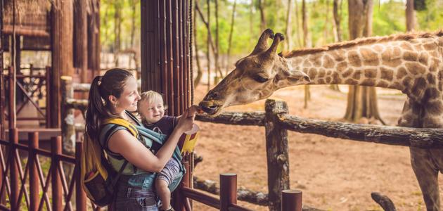 أهمية حديقة الحيوان صورة مقال أهمية حديقة الحيوان