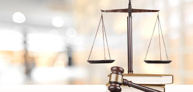 الفرق بين نظام الحكم والنظام السياسي صورة مقال الفرق بين نظام الحكم والنظام السياسي