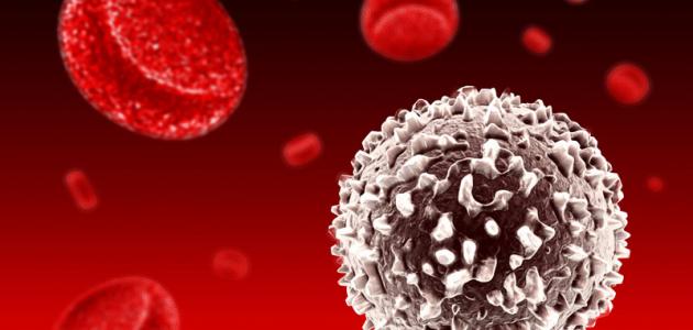 ما أسباب جرثومة الدم صورة مقال ما أسباب جرثومة الدم