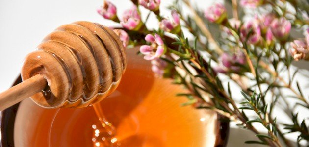 أغلى عسل في العالم صورة مقال أغلى عسل في العالم