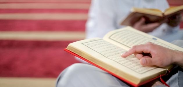 فضل سورة الإنسان صورة مقال فضل سورة الإنسان