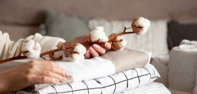 ما هو الفرق بين القطن العضوي والقطن؟ صورة مقال ما هو الفرق بين القطن العضوي والقطن؟