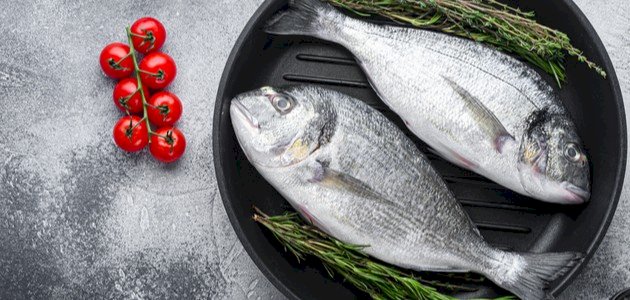 أنواع سمك الأجاج صورة مقال أنواع سمك الأجاج