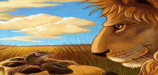 قصة الفأر و الأسد صورة مقال قصة الفأر و الأسد