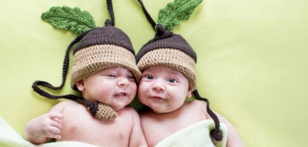 كيفية تكوّن التوأم صورة مقال كيفية تكوّن التوأم